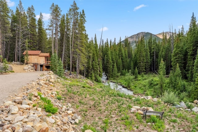 5080 Montezuma Rd, Keystone, CO 80435