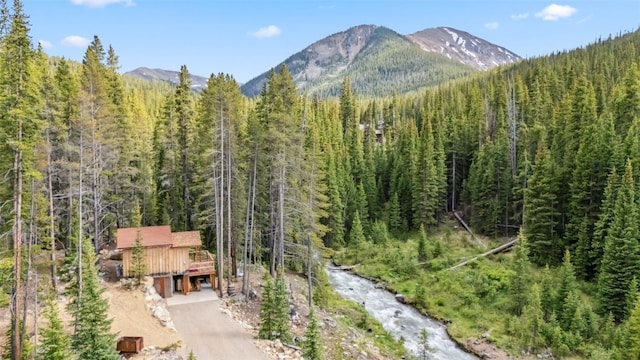 5080 Montezuma Rd, Keystone, CO 80435