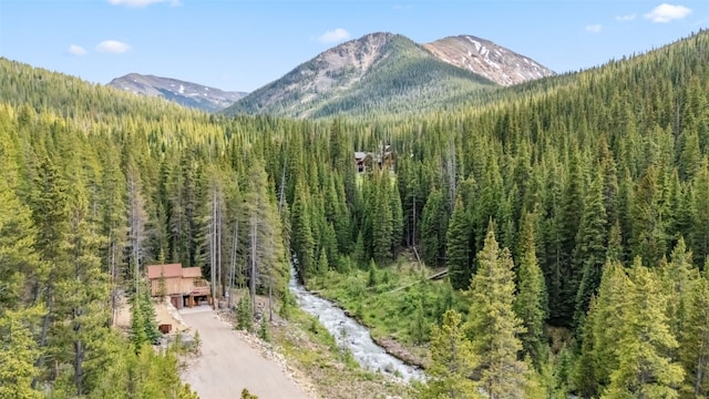 5080 Montezuma Rd, Keystone, CO 80435