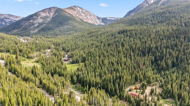 5080 Montezuma Rd, Keystone, CO 80435