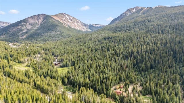 5080 Montezuma Rd, Keystone, CO 80435