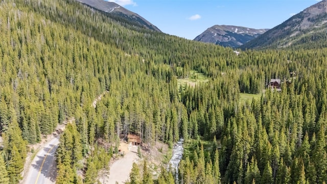 5080 Montezuma Rd, Keystone, CO 80435