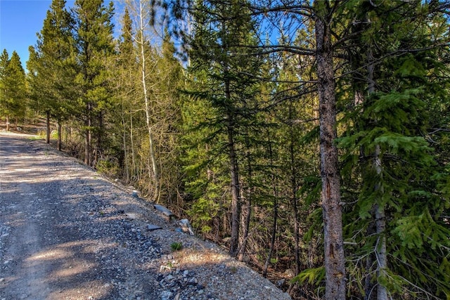 163 Lakeview Dr, Breckenridge, CO 80424
