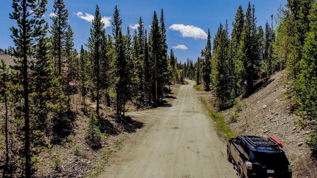 163 Lakeview Dr, Breckenridge, CO 80424