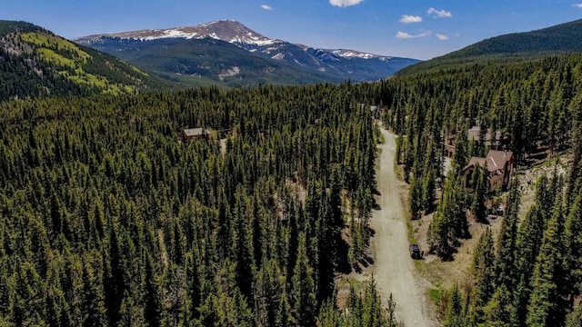 163 Lakeview Dr, Breckenridge, CO 80424