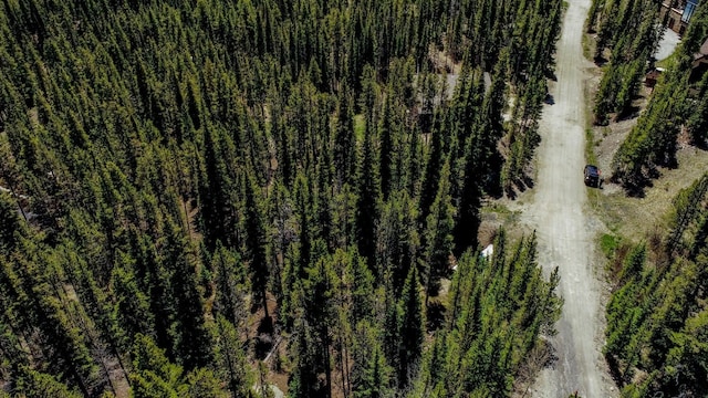 163 Lakeview Dr, Breckenridge, CO 80424