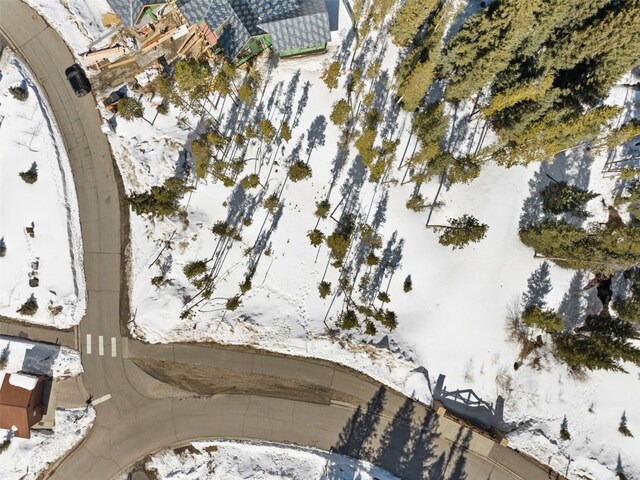 111 Independence Ln, Keystone, CO 80435