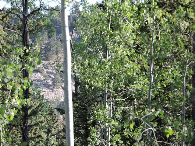 170 Buckskin Ct, Como, CO 80432