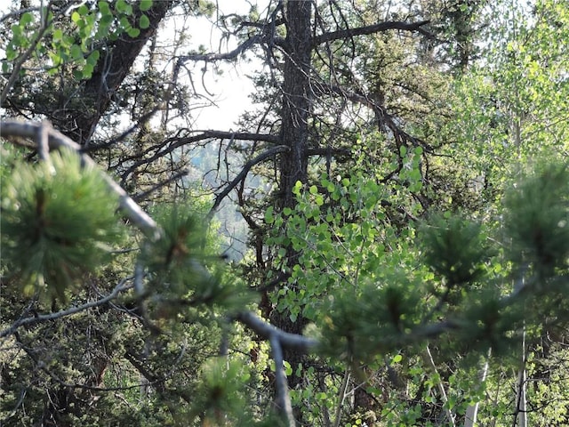 170 Buckskin Ct, Como, CO 80432