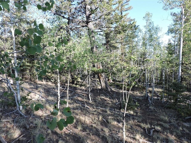 170 Buckskin Ct, Como, CO 80432