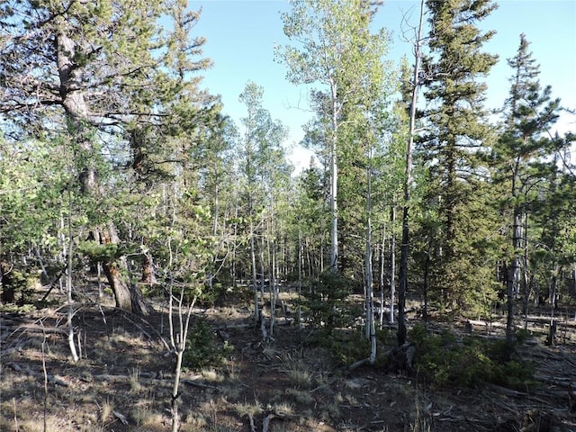 170 Buckskin Ct, Como, CO 80432