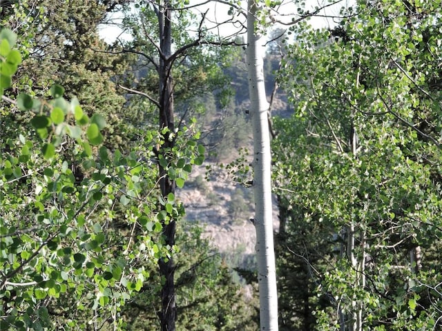 170 Buckskin Ct, Como, CO 80432