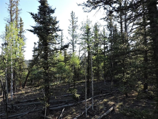 170 Buckskin Ct, Como, CO 80432