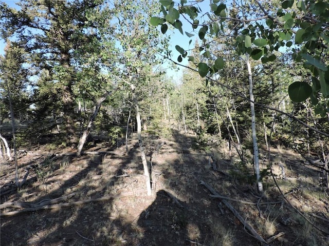 170 Buckskin Ct, Como, CO 80432