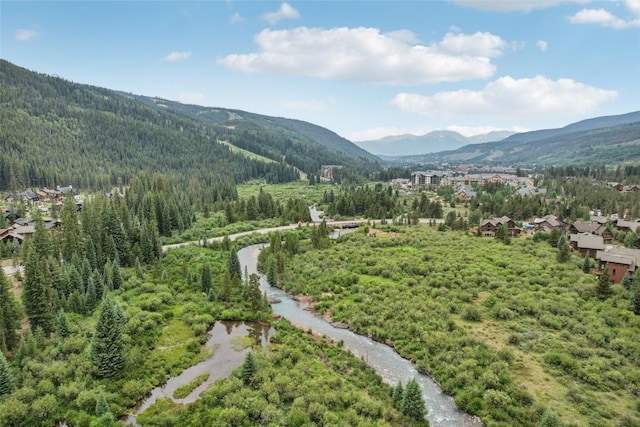 27 Independence Ct, Keystone, CO 80435 - photo 46