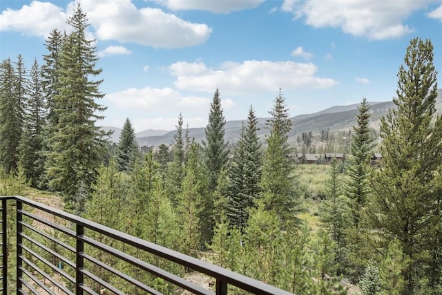 27 Independence Ct, Keystone, CO 80435 - photo 47