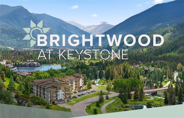 35 Argentine Ct Unit 301, Keystone, CO 80435
