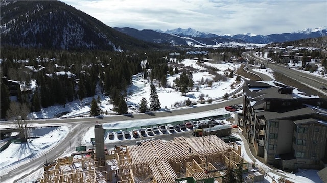 35 Argentine Ct Unit 301, Keystone, CO 80435