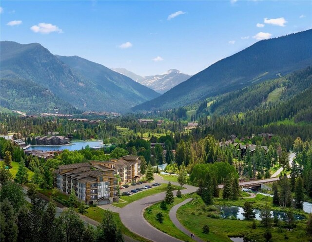 35 Argentine Ct Unit 301, Keystone, CO 80435 - photo 5