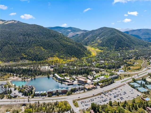 35 Argentine Ct Unit 301, Keystone, CO 80435 - photo 24