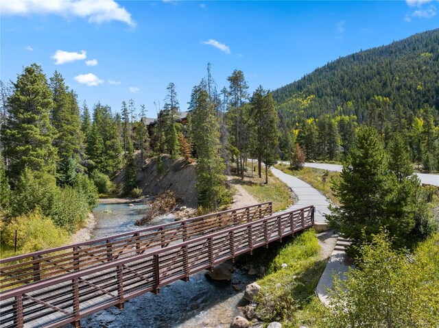 35 Argentine Ct Unit 301, Keystone, CO 80435 - photo 20