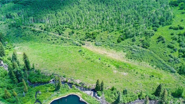 tbd County Road 8, Meeker, CO 81641 - photo 24