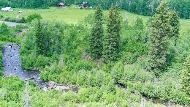 tbd County Road 8, Meeker, CO 81641 - photo 20