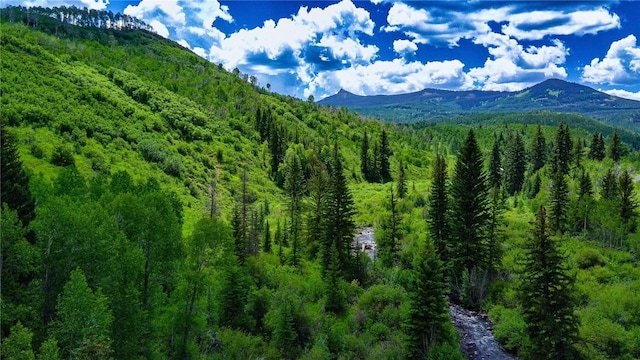 tbd County Road 8, Meeker, CO 81641 - photo 4