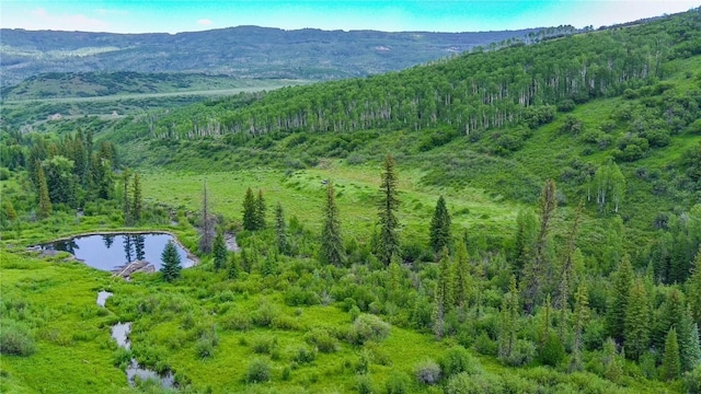 tbd County Road 8, Meeker, CO 81641 - photo 15