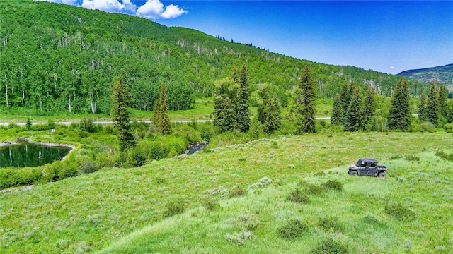 tbd County Road 8, Meeker, CO 81641 - photo 21