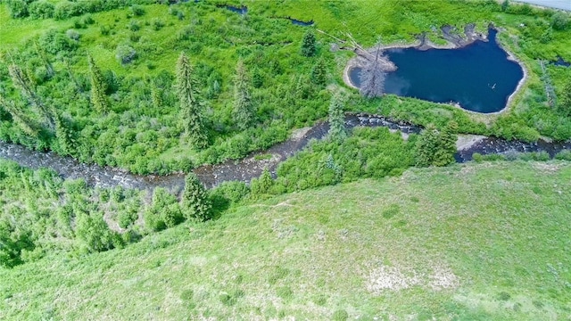 tbd County Road 8, Meeker, CO 81641 - photo 22