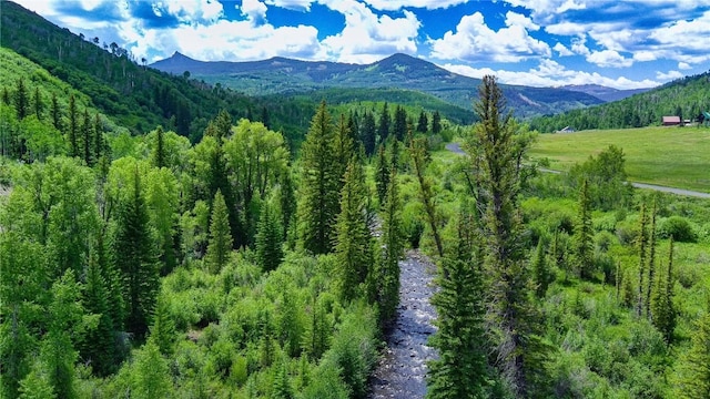tbd County Road 8, Meeker, CO 81641 - photo 14