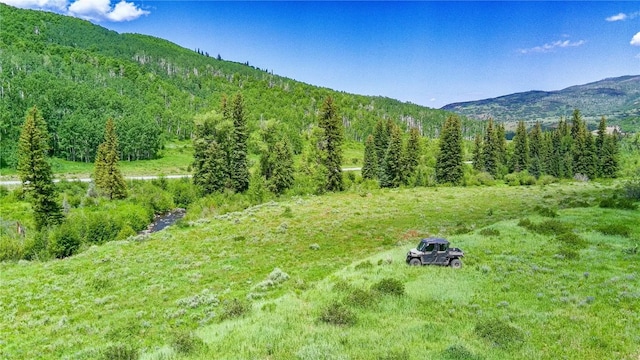 tbd County Road 8, Meeker, CO 81641 - photo 8