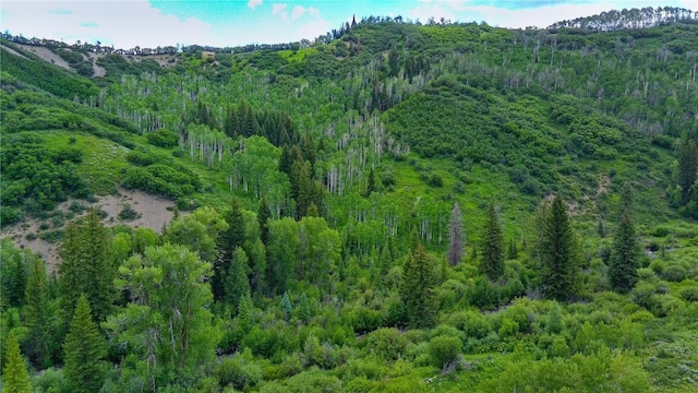 tbd County Road 8, Meeker, CO 81641 - photo 16
