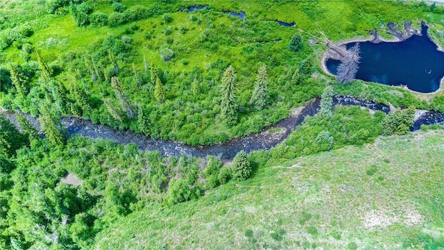 tbd County Road 8, Meeker, CO 81641 - photo 6
