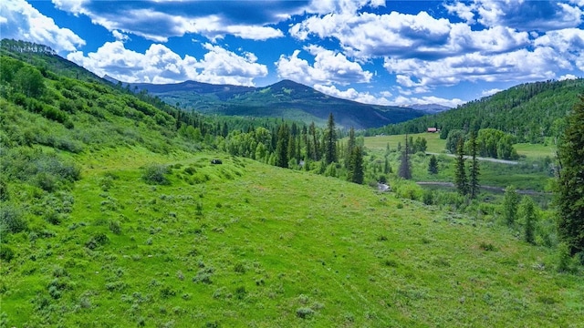 tbd County Road 8, Meeker, CO 81641 - photo 19