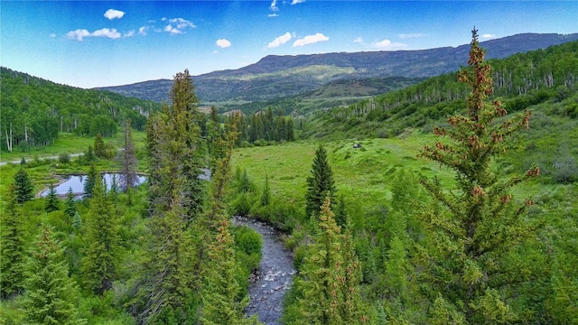 tbd County Road 8, Meeker, CO 81641 - photo 3