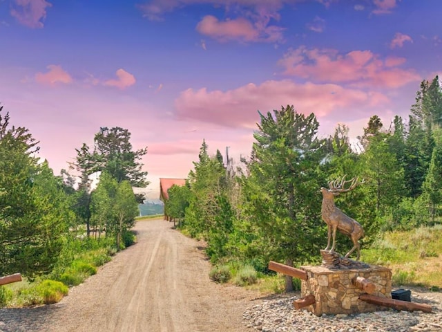 733 Spring Creek Ranch Rd, Silverthorne, CO 80498 - photo 36
