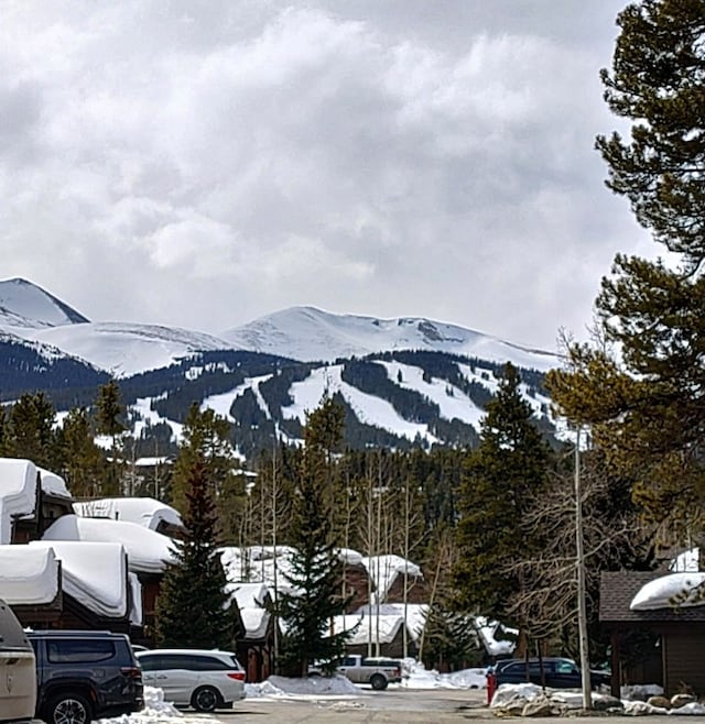 view of mountain feature