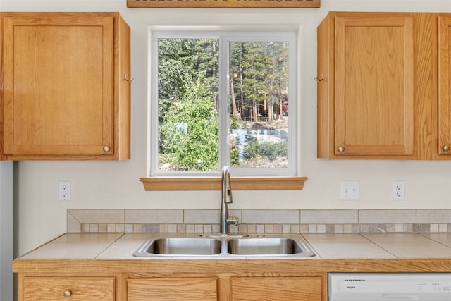 238 Prunes Pl, Fairplay, CO 80440 - photo 10