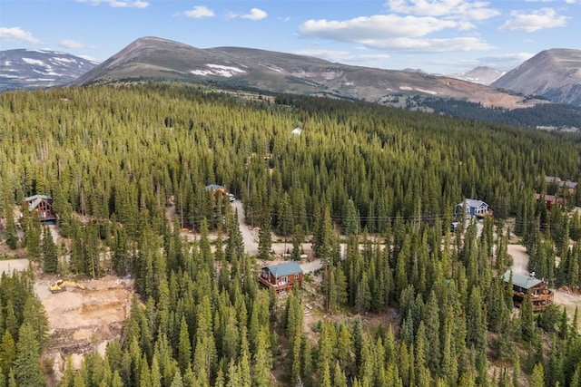 238 Prunes Pl, Fairplay, CO 80440 - photo 30