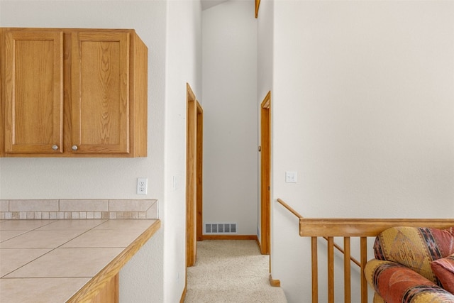 238 Prunes Pl, Fairplay, CO 80440 - photo 13