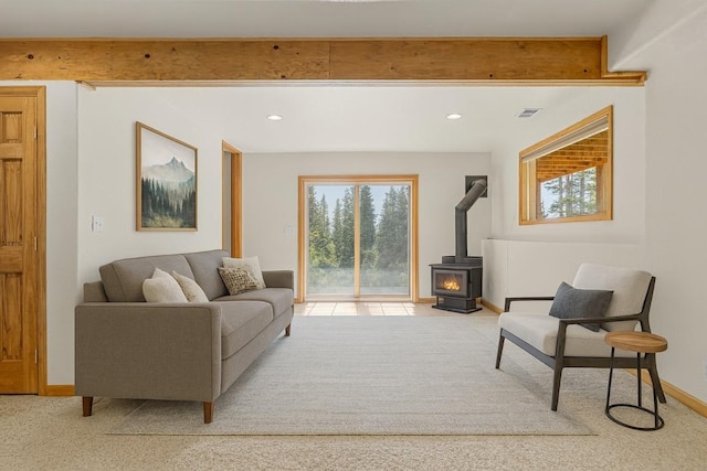 238 Prunes Pl, Fairplay, CO 80440 - photo 21