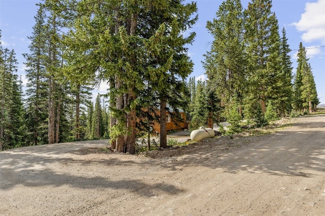 238 Prunes Pl, Fairplay, CO 80440 - photo 3