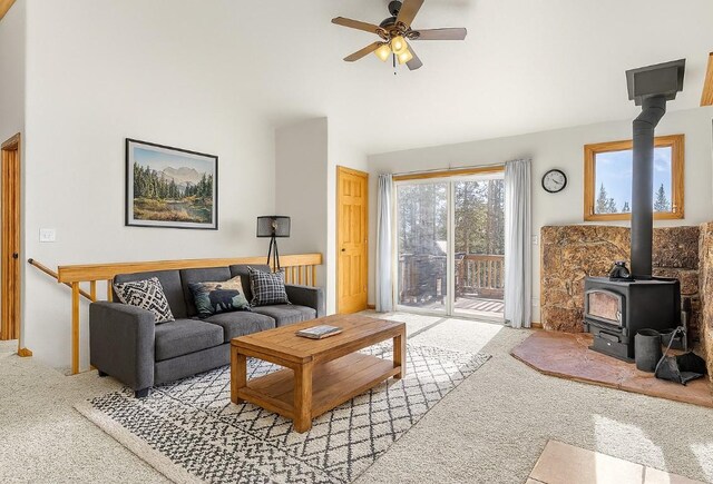 238 Prunes Pl, Fairplay, CO 80440 - photo 7