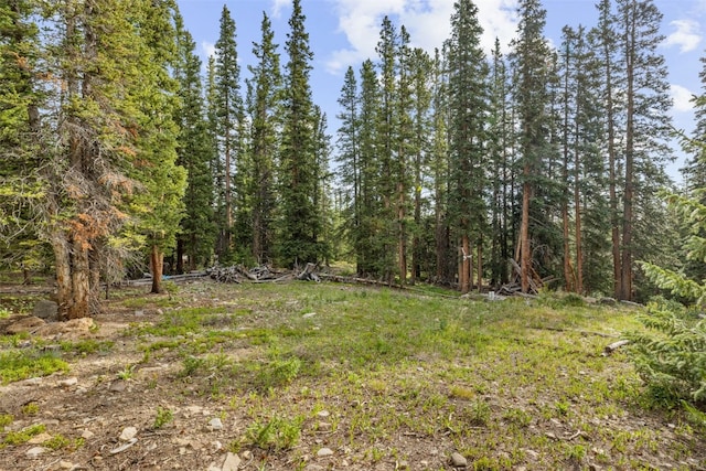 238 Prunes Pl, Fairplay, CO 80440 - photo 26