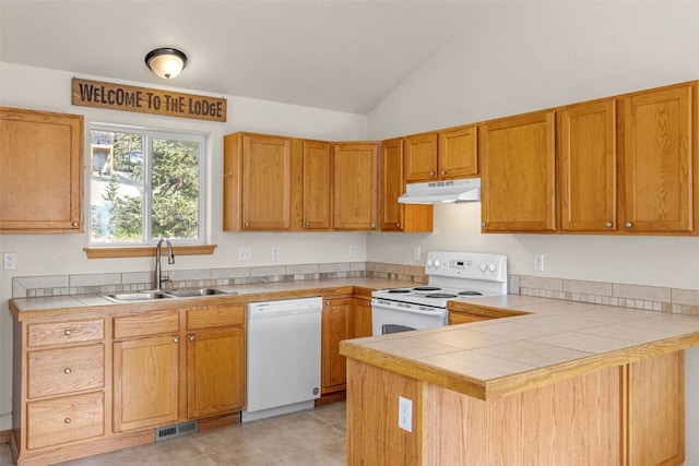 238 Prunes Pl, Fairplay, CO 80440 - photo 11