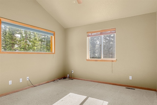 238 Prunes Pl, Fairplay, CO 80440 - photo 16