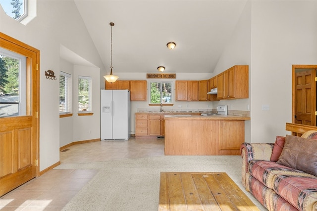 238 Prunes Pl, Fairplay, CO 80440 - photo 6