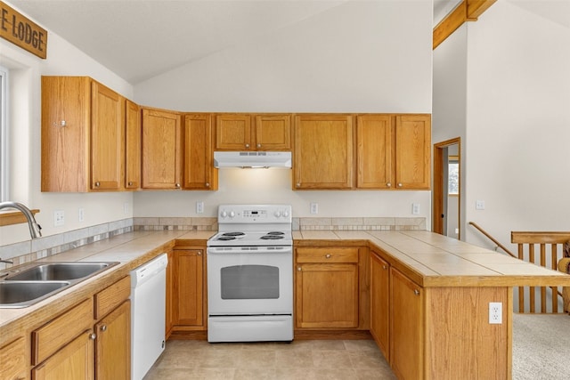 238 Prunes Pl, Fairplay, CO 80440 - photo 12